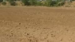 બનાસકાંઠાઃ મુખ્ય ડેમ થયા તળિયા ઝાટક, પીવાના પાણી સાથે સિંચાઈના પાણી માટે વલખા