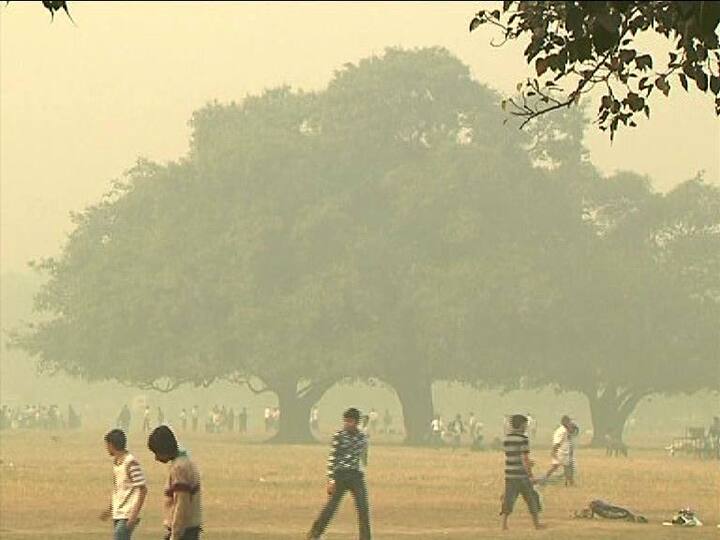 আসছে হালকা রোদে গা সেঁকে নেওয়ার দিন