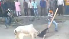 कैमरे में कैद.. परंपरा के नाम पर बेजुबानों पर अत्याचार | Sansani