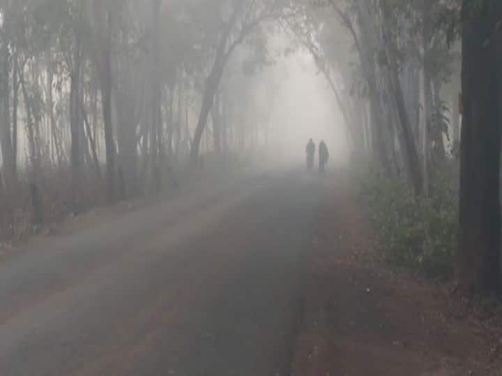 কলকাতার তাপমাত্রা নামল কুড়ি ডিগ্রির নীচে।জাঁকিয়ে শীত পড়ার কাউন্টডাউন শুরু।