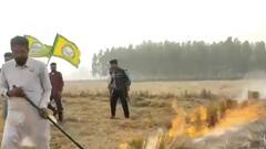 पराली से हो सकती ये गंभीर बीमारियां.. दिल, किडनी के मरीज संभल कर रहें