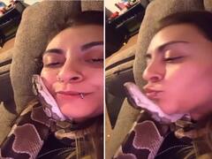 Watch Video | பாம்பு வாயில் நச்சு நச்சு என்று இச்சு கொடுத்த பெண்- வைரல் வீடியோ !