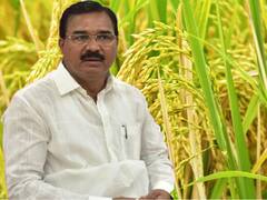Paddy Cultivation: తెలంగాణ రైతులకు అలెర్ట్... యాసంగిలో వరి వద్దు ప్రభుత్వం కొనదు... మంత్రి నిరంజన్ రెడ్డి స్పష్టం
