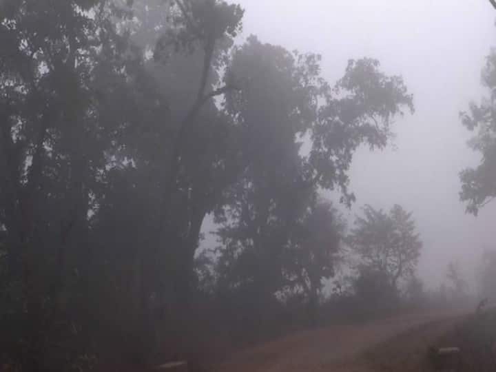 আজ তাপমাত্রা স্বাভাবিকের থেকে ৩ ডিগ্রি কম।
