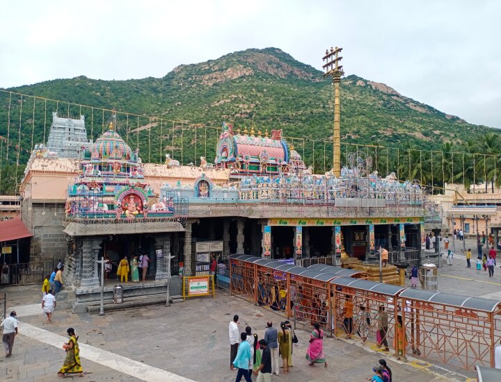 திருவண்ணாமலை அண்ணாமலையார் கோயில் தீபத்திருவிழா - தடுப்பூசி சான்று, RTPCR சான்று அவசியம்