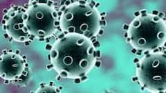 Corona Update: ফের সংক্রমণের শীর্ষে কলকাতা, ১ দিনে আক্রান্ত ১৮১ । Bangla News