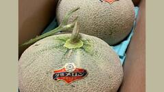 Most Expensive Fruit: বিশ্বের সবথেকে দামী ফল এটাই, দাম শুনলেই চোখ ছানাবড়া!