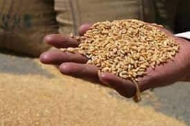 Food Secretary says No proposal to extend free ration scheme PMGKAY beyond 30 November PMGKAY: सरकार ने किया साफ,  इस तारीख के बाद नहीं मिलेगा मुफ्त राशन