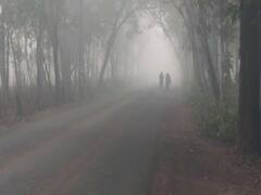 રાજ્યમાં ગગડ્યો ઠંડીનો પારો, આગામી 24 કલાકમાં માવઠાની આગાહી