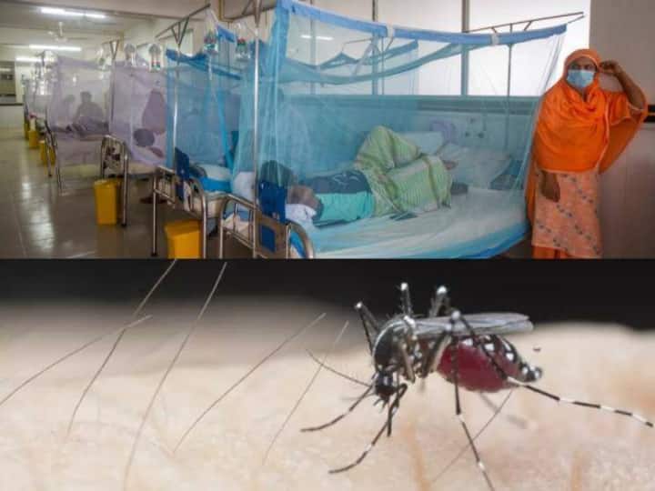 Dengue on the rise in Jammu; Authorities intensify preventive measures ஜம்முவில் அதிகரிக்கும் டெங்கு; தடுப்பு நடவடிக்கைகளை தீவிரப்படுத்தும் அதிகாரிகள்!