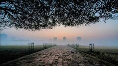 WB Weather Update: নামছে পারদ, রাজ্যজুড়ে শীতের আমেজ | Bangla News