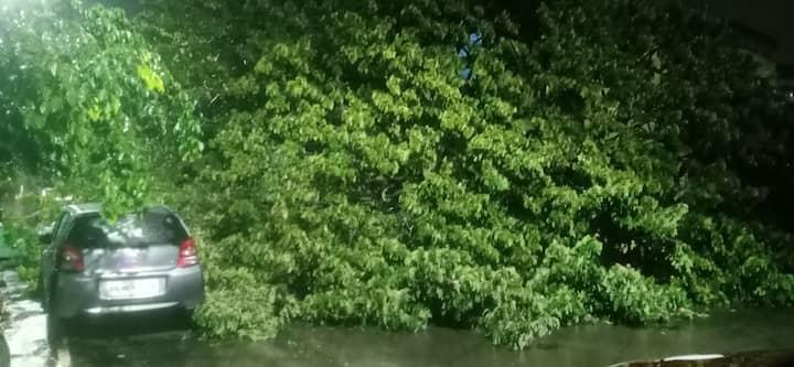 கோட்டூர்புரத்தில் மரம் ஒன்று வேரொடு சாய்ந்து விழுந்திருப்பதை காணலாம்.