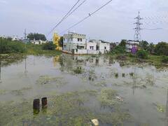 சிவகங்கையில் மிதக்கும் வீடுகள்: உதவ கோரிக்கை வைக்கும் பொதுமக்கள்!