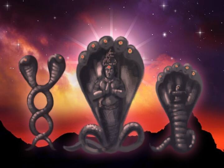 Nagula Chavithi 2021: Is Nagapuja A superstition,  Should we Worship Snakes Or Gods Associated With Them.. What Is To Be Done And What Are We Doing Nagula Chavithi 2021:నాగ పూజ మూఢనమ్మకమా- సర్పాలు, నాగులు, పాములు వీటి మధ్య వ్యత్యాసం ఏంటి, వేటిని పూజించాలి