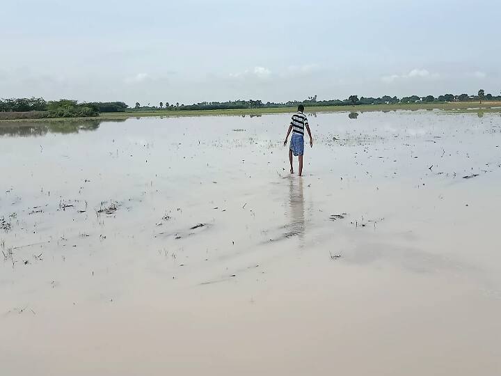 આવતી કાલથી 4 દિવસ ગુજરાતના ખેડૂતો માટે માઠા, ક્યાં ક્યાં પડશે માવઠું Four days unseasonal rain forecast in Gujarat આવતી કાલથી 4 દિવસ ગુજરાતના ખેડૂતો માટે માઠા, ક્યાં ક્યાં પડશે માવઠું