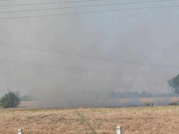 Stubble Burning cases in Punjab on rise, not relief expected for atleast 10 days Stubble Burning: पंजाब में पराली जलाने के मामलों में हुआ भारी इजाफा, जल्द राहत मिलने के आसार नहीं