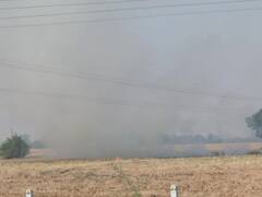Stubble Burning: पंजाब में पराली जलाने के मामलों में हुआ भारी इजाफा, जल्द राहत मिलने के आसार नहीं