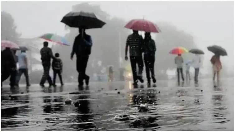 The meteorological department has forecast heavy rains in South Gujarat રાજ્યમાં વરસાદ અંગે હવામાન વિભાગે શું કરી આગાહી? આ તારીખે દક્ષિણ ગુજરાતમાં પડશે ભારે વરસાદ