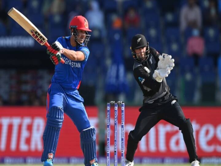T20 World cup Afghanistan vs Newzealand Najibullah Zadran makes half century can become hero for team India AFG vs NZ: भारत के लिए हीरो बन सकता है अफगानिस्तान का ये खिलाड़ी, न्यूजीलैंड के खिलाफ खेली धुआंधार पारी
