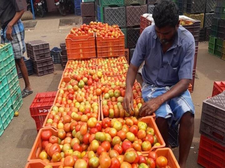 Tomato Price increased due to heavy Rain says koyambedu Market vendors Tomatoes Price Hike : தொடர் கனமழை.. விறுவிறுவென உயர்ந்த தக்காளி விலை.. என்ன நிலவரம்?