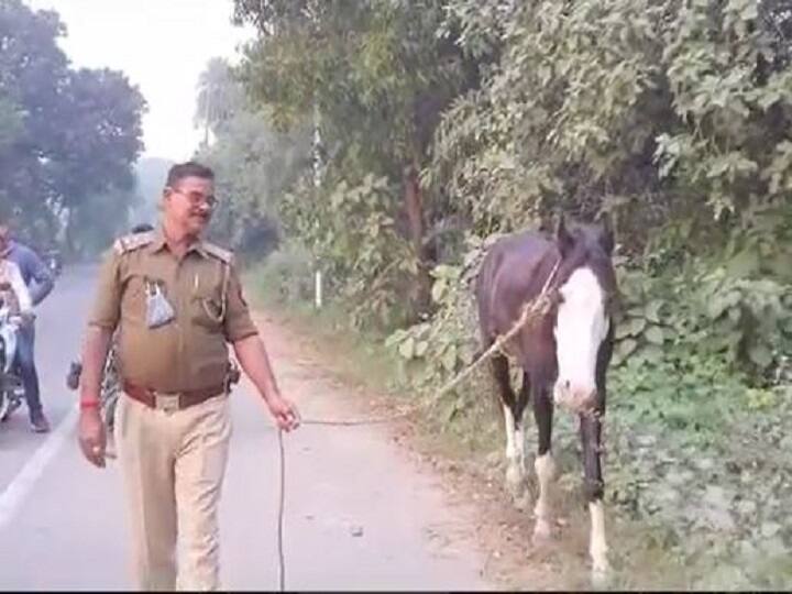 Rampur police found Congress leader's mare in 24 hours, know what is the whole matter Rampur News: रामपुर पुलिस ने 24 घंटे में खोज निकाली कांग्रेस नेता की घोड़ी, जानें- क्या है पूरा मामला