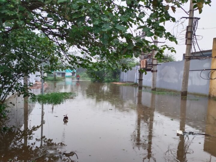 Chennai Rain: தொடரும் மழை...வடியாத வெள்ளம்... தத்தளிக்கும் சென்னை மக்கள்!