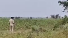 અમરેલીઃ યુવકને છરીના પાંચથી વધુ ઘા મારી કરાઈ હત્યા, જુઓ ગુજરાતી ન્યૂઝ