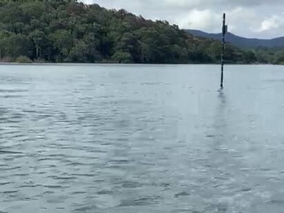 Kerala Govt Freezes Order Permitting Tamil Nadu To Fell 15 Trees In Mullaperiyar Reservoir Kerala Govt Freezes Order Permitting Tamil Nadu To Fell 15 Trees In Mullaperiyar Reservoir