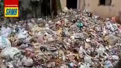 Dengue: চোখ রাঙাচ্ছে ডেঙ্গি, বিধাননগর পুরসভার ৮ নম্বর ওয়ার্ডে বাড়ছে প্রকোপ। Bangla News