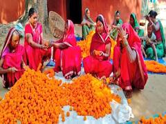 Jharkhand: नक्सली हिंसा के लिए बदनाम रहे खूंटी को नई पहचान दे रही है फूलों की खेती, आगे हैं महिला किसान 