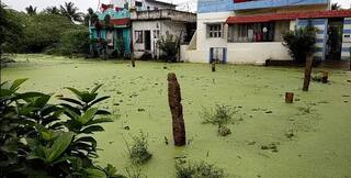 More than 500 houses submerged due to continuous heavy rains in Trichy district. திருச்சி மாவட்டத்தில் தொடர் கனமழை காரணமாக 500க்கும் மேற்பட்ட வீடுகள் நீரில் மூழ்கியது