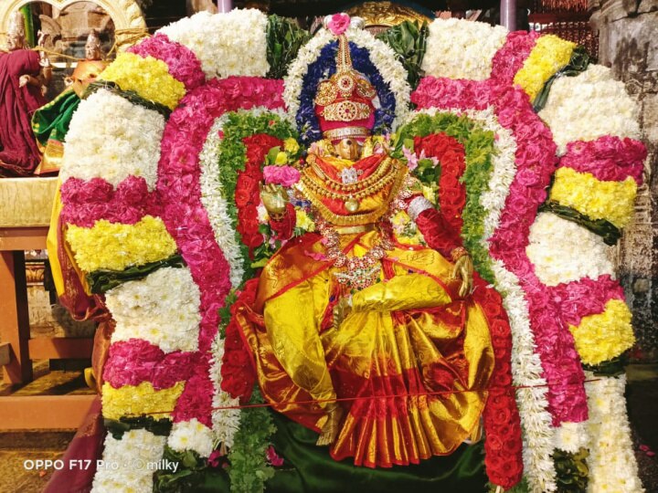 திருவண்ணாமலை கார்த்திகை தீபத் திருவிழா - 5ஆம் பிரகாரத்தில் பிடாரி அம்மன் சுவாமி தரிசனம்