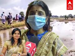 Thiruvarur: திருவாரூரில் நீரில் மூழ்கிய விளைநிலங்கள் -மாவட்ட ஆட்சியர் காயத்ரி கிருஷ்ணன் பேட்டி