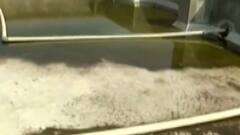 વડોદરાઃ આ હોસ્પિટલમાં જ વધ્યો મચ્છરજન્ય ઉપદ્રવ, તબીબો પર બિમારીનો ખતરો