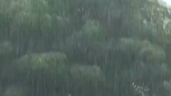 ફટાફટ: રાજ્યમાં 10 નવેમ્બર સુધી માવઠાની આગાહી, સૌરાષ્ટ્ર-દક્ષિણ ગુજરાતમાં વરસી શકે વરસાદ