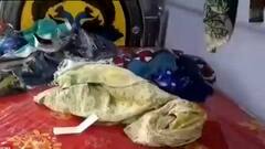 Hooghly: মগরায় BSF কর্মীর বাড়িতে ডাকাতি, জখম ৪, গ্রেফতার তিন ডাকাত | Bangla News