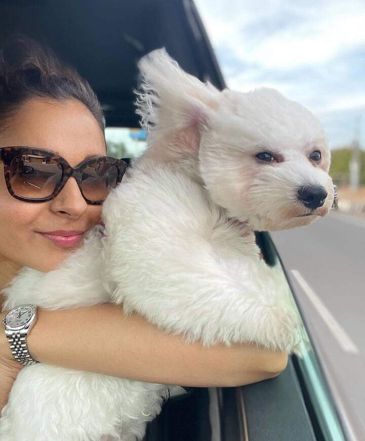 ఆండ్రియా జెరెమియా ( Image Credit/ Andrea jeremiah Instagram)