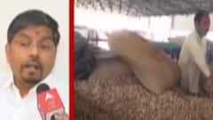 મગફળીની ટેકાના ભાવે ખરીદી કરવા માટે 140 કેન્દ્ર ઉભા કરાયા, જુઓ ગુજરાતી ન્યુઝ