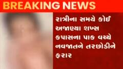 ભાવનગર: કપાસના ખેતરમાં જીવિત નવજાત શિશુ મળ્યું, જુઓ ગુજરાતી ન્યુઝ