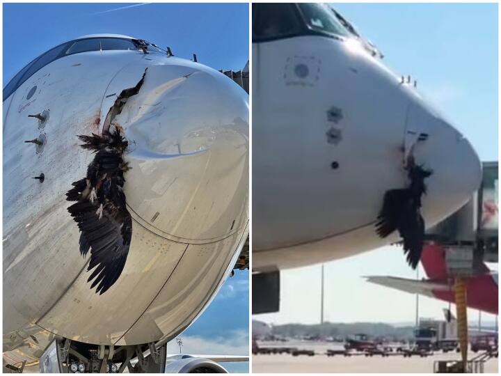 Spanish plane severely damaged in eagle collision Watch Video: ‛பறவையை கொன்றான்... விமானம் உடைத்தான்...’ இது ஸ்பெயின் சிவாஜி பாடல்!