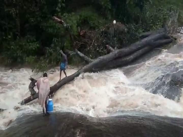 Kodaikanal Villagers crossing the river in rain floods without realizing the danger ஆர்ப்பரிக்கும் மழை வெள்ளம்: ஆபத்தை உணராமல் கரையை கடக்கும் மழை வாழ் மக்கள்!