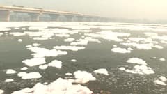 Yamuna नदी में क्यों बढ़ रही है Ammonia की मात्रा ? Ground Report