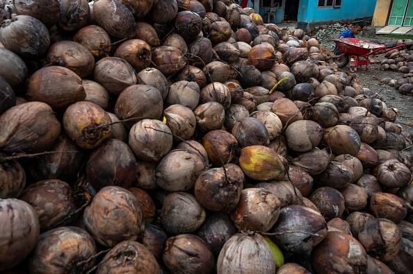 ਤੁਹਾਨੂੰ ਦੱਸ ਦੇਈਏ ਕਿ ਨਾਰੀਅਲ ਸਿਰਫ ਤੁਹਾਡੀ ਸਿਹਤ ਲਈ ਹੀ ਨਹੀਂ ਬਲਕਿ ਤੁਹਾਡੀ ਚਮੜੀ ਲਈ ਵੀ ਫਾਇਦੇਮੰਦ ਹੁੰਦਾ ਹੈ। ਨਾਰੀਅਲ ਤੇਲ ਵਿੱਚ ਐਂਟੀਫੰਗਲ ਗੁਣ ਹੁੰਦੇ ਹਨ ਜੋ ਤੁਹਾਡੀ ਚਮੜੀ ਨੂੰ ਸਿਹਤਮੰਦ ਰੱਖਣ ਵਿੱਚ ਮਦਦ ਕਰਦੇ ਹਨ। ਆਓ ਜਾਣਦੇ ਹਾਂ ਕਿਵੇਂ।