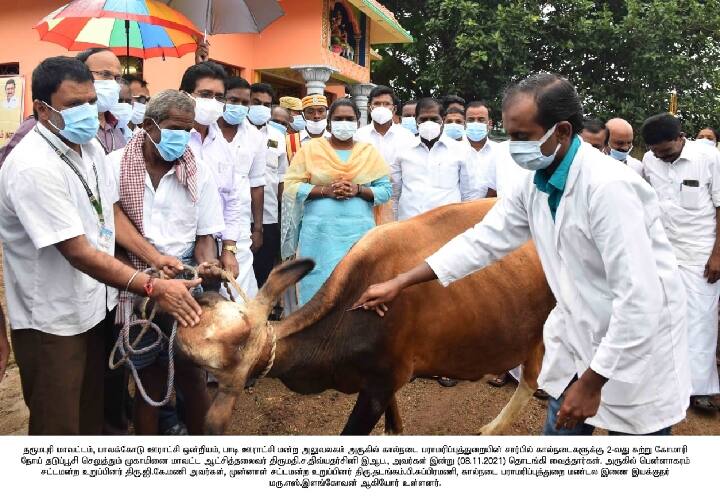 2nd round of Foot-and-mouth disease prevention camp begins in Dharmapuri தருமபுரியில் 2ஆம் சுற்று கோமாரி நோய் தடுப்பு முகாம் தொடக்கம்