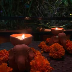 Sai Tamhankar : ट्रॅडीशनल लूक मध्ये सईचं खुललं सौंदर्य, पहा तिचे क्लासी फोटो