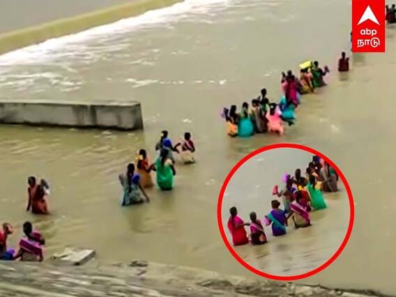 Cuddalore: இடுப்பளவு தண்ணீரில் கல்யாண சீர்வரிசை.. ரிஸ்க் எடுக்கும் கடலூர் மக்கள்