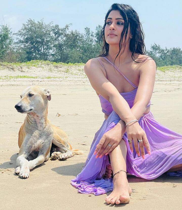 పాయల్ రాజ్పుత్ క్యూట్ పిక్స్ (Image credit: Instagram)