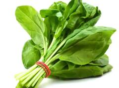 In Pics: त्वचा दीर्घकाळ निरोगी ठेवण्यासाठी 'या' गोष्टींचा आहारात करा समावेश