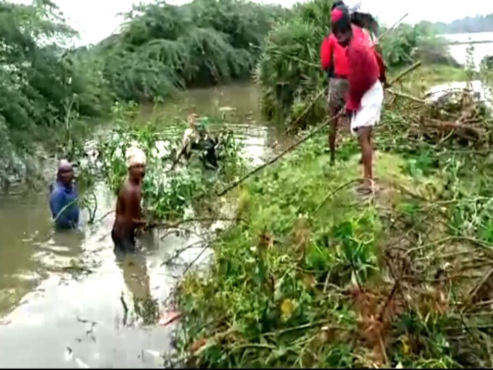 மழை நீரில் மூழ்கிய பயிர்கள்: கால்வாயில் இறங்கி போராடும் விவசாயிகள்!