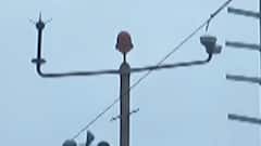 ગુજરાત પરથી કમોસમી વરસાદનું વિઘ્ન ટળ્યું, હવામાન વિભાગની આગાહી, જુઓ ગુજરાતી ન્યુઝ